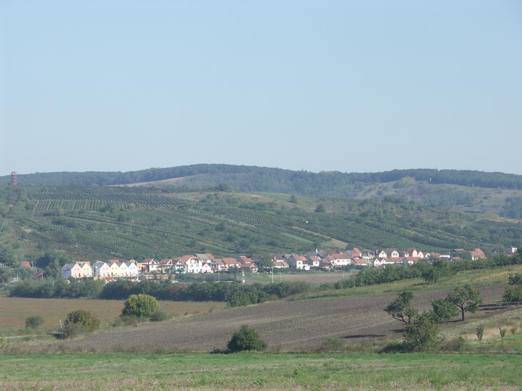 Hotel Kravi Hora Bořetice Rum bild